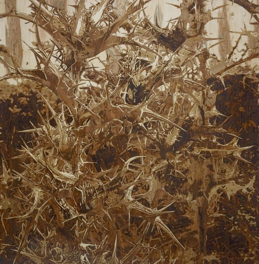 Avinash Veeraraghavan Lullaby, 2012