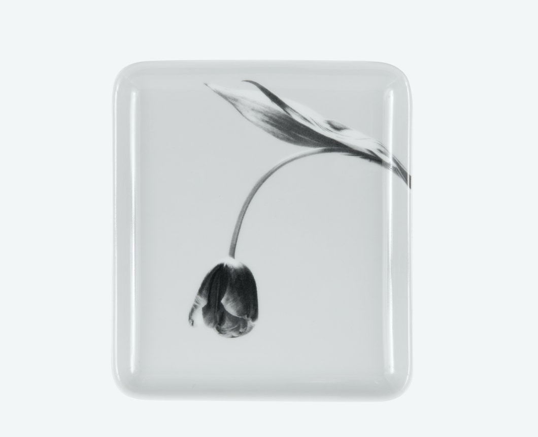 Square tray with a photograph of a tulip and long stem.