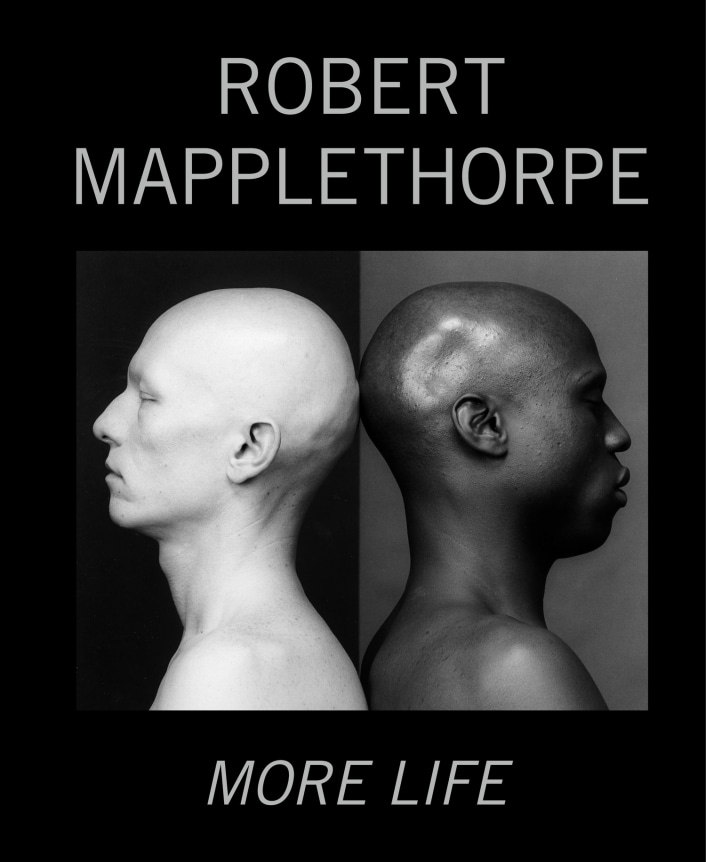 Black book cover with white male and black male eyes closed facing away from each other