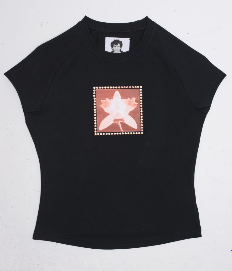 Misbhv autumn winter 2023 licensing collaborations mapplethorpe