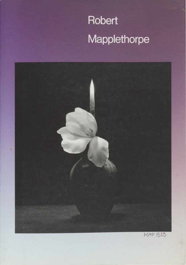 Flower and upright knife blade in a vase against a black background.  Image floats on a purple gradient background with white text.