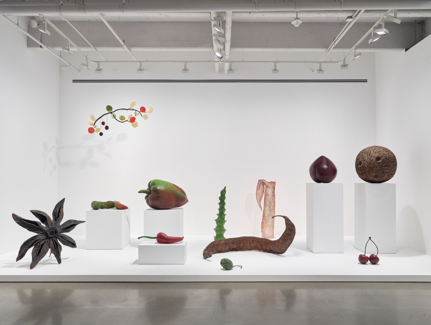 ming fay: midnite porridge