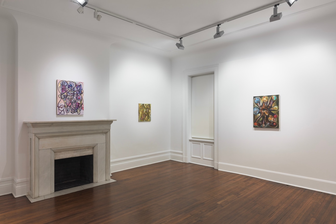 Steve DiBenedetto: Uncertainty Takes a Holiday - - Exhibitions - David ...