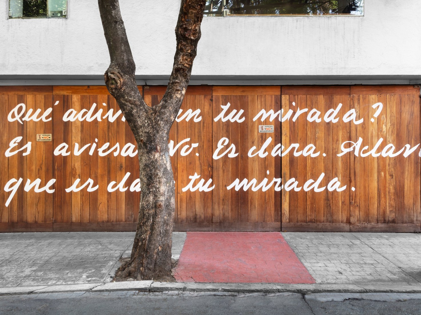 Pablo Soler Frost - Mayate