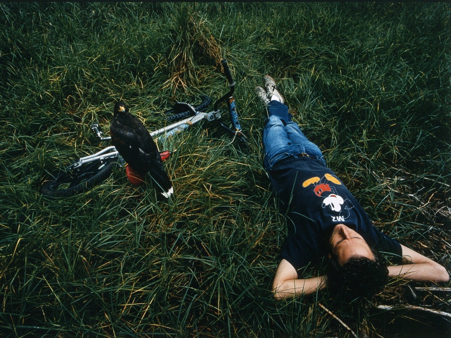 from the archive - miguel calderón