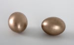 Kate Shepherd Huevos, set G, 1999 - 2016 Bronze Set of two 2 x 1 1/2 x 1 1/2 inches each 5.1 x 3.8 x 3.8 cm each