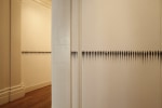 Teresita Fernández Sfumato (Horizon), 2010 Site-transferable installation, solid graphite and magnets Dimensions vary with installation