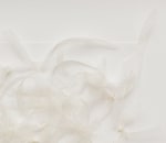 Rosana Castrillo Díaz, Untitled (9/22/19), 2019