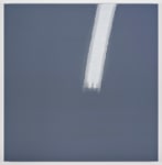 Kate Shepherd Kodak, Bolts, Giraffe Horns, 2018 Screen printed enamel and enamel on panel Five panels 41 x 42 inches each (104.1 x 106.7 cm) 41 x 210 inches overall (104.1 x 533.4 cm)