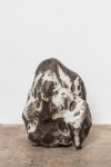 Liz Larner
Asteroid (Fluffy)
2020
Glazed ceramic
16 x 13 x 8 1/2 inches (40.6 x 33 x 21.6 cm)
$50,000