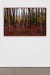 Catherine Opie
Untitled #5 (Swamps)
2019
Pigment print
Artwork Dimensions:&amp;nbsp;40 x 60 inches (101.6 x 152.4 cm)
Framed Dimensions:&amp;nbsp;41 x 61 x 2 inches (104.1 x 154.9 x 5.1 cm)
Edition&amp;nbsp;of 5, 2 AP