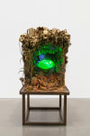 Max Hooper Schneider
Roadside Reliquary (Turtle Fossil)
2021
Mixed media, cast uranium glass, UV lighting system, custom metal base
Artwork Dimensions:
52 x 46 x 38 inches (132.1 x 116.8 x 96.5 cm)
Metal Base:
25 1/4 x 44 x 36 inches (64.1 x 111.8 x 91.4 cm)

DOUBLE CLICK IMAGE FOR MORE VIEWS