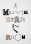 Jack Pierson
A MOVIE STAR IN THE ROOM
2020
Enamel, metal, and plastic
100 1/2 x 67 1/4 x 5 inches (255.3 x 170.8 x 12.7 cm)

DOUBLE CLICK IMAGE FOR MORE VIEWS