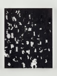 Glenn Ligon
Study for Debris Field #29
2018
Etching ink and ink marker on canvas
40 x 32 inches (101.6 x 81.3 cm)

SOLD

DOUBLE CLICK IMAGE FOR MORE VIEWS