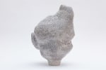 Liz Larner
Asteroid (convolution)
2020
Glazed ceramic
18 1/8 x 12 1/2 x 12 15/16 inches (46 x 31.8 x 32.9 cm)