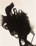 Jay DeFeo
Untitled (Salvador Dalí's Birthday Party), May 11, 1973
gelatin silver print chemigram
10 x 8 inches (25.4 x 20.3 cm)
© 2023 The Jay DeFeo Foundation/Artists Rights Society (ARS), New York.