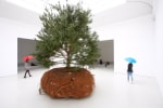 C&amp;eacute;leste Boursier-Mougenot
transHumUs, 2015
scotch pine, earth ball (soil, clay, natural aggregate, roots, rocks), battery operated mobile platform, Ubisense positioning system, LAAS-CNRS software program&amp;nbsp;
tree: approx. 177.17 x 149.61 x 149.61 in. (450 x 380 x 380 cm)
base: approx. 31.5 x 66.93 x 66.93 in. (80 x 170 x 170 cm)
weight: approx. 4.5 tons
