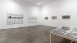 Beatrice Caracciolo: Battaglia, Paula Cooper Gallery, New York, NY, February 16 – March 23, 2013.