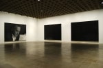 Rudolf Stingel Rudolf Stingel: Paintings 1987-2007 curated by Francesco Bonami Whitney Museum of American Art, New York, NY, 2007