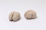 Untitled (Pair of Brains), 1982 plaster and wire lath 1 @ 3 1/2 x 6 1/4 inches (8.9 x 15.9 cm) 1 @ 4 x 6 1/2 inches (10.2 x 16.5 cm)