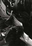 Jay DeFeo
Untitled, 1972
gelatin silver print
9 1/4 x 6 3/8 inches (23.5 x 16.2 cm)
© 2023 The Jay DeFeo Foundation/Artists Rights Society (ARS), New York.