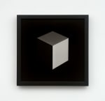 Cube, (detail), 1997 Twelve gelatin-silver prints each: 11 x 11 in. (27.9 x 27.9 cm) framed each: 11 3/4 x 11 3/4 x 1 3/8 in. (29.8 x 29.8 x 3.5 cm) Edition AP1 (A-L) of 9, 1 AP Published by Fraenkel Gallery, San Francisco