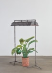 Evan Holloway Horizontal Fluorescent With Plant, 2017 steel, cardboard, CelluClay, Cel-vinyl and acrylic lamp: 71 3/4 x 57 x 23 1/2 in. (182.2 x 144.8 x 59.7 cm) plant: 47 1/4 x 42 1/2 x 39 1/2 in. (120 x 108 x 100.3 cm)