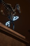 Hans Haacke Gift Horse, (detail), 2014 horse: bronze with black patina and wax finish stainless steel fasteners and supports bow: 5mm flexible LED display stainless steel armature polycarbonate face, 15 ft 3 in. x 14 ft 1 in. x 5 ft 5 in. (464.8 x 429.3 x 165.1 cm) Commissioned by the Mayor of London's Fourth Plinth Programme