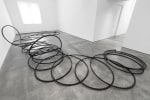 Christian Marclay Extended Phone II, 1994 telephone and plastic tubing dimensions variable