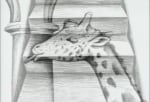 Giraffe/Escalator Video Animation Installation, (detail), 1988-1995 61 pencil animation drawings on paper with video animation  1 minute, looped each drawing 10 1/2 x 12 1/2 in. (26.7 x 31.8 cm)