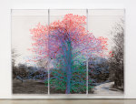 Charles Gaines Numbers and Trees, Central Park, Series I: Tree #4, Kent, 2015 Acrylic, ink jet print, plexiglass 2 panels each: 95 x 42 x 5.75 in. (243.8 x 106.7 x 14.6 cm) center panel 95 x 42 1/2 x 5.75 in. (243.8 x 108 x 14.6 cm) overall: 95 x 126 1/2 x 5.75 in. (243.8 x 321.3 x 14.6 cm)
