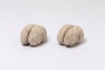 Robert Gober Untitled (Pair of Brains), 1982 plaster and wire lath 1 @ 3 1/2 x 6 1/4 inches (8.9 x 15.9 cm) 1 @ 4 x 6 1/2 inches (10.2 x 16.5 cm)