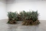 Meg Webster Stick Structure, 2016 various branches, twigs, and flowering plants (Bamboo, Privet, Magnolia grandiflora, Huizache, Lantana) approximately 74 x 244 inches in diameter (187.9 x 619.7 centimeters)