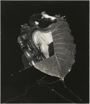 Jay DeFeo 
Untitled (for B.C.), 1973
photo collage on matboard
8 3/8 x 6 3/4 inches (21.3 x 17.1 cm)
© 2023 The Jay DeFeo Foundation/Artists Rights Society (ARS), New York.