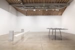 Robert Grosvenor
Untitled, 2011
aluminum, fiberglass, plastic, concrete blocks, spray paint
element #1 (table) 56 x 92 x 165 1/2 in. (142.2 x 233.7 x 420.4 cm), element #2 46 1/2 x 58 x 243 1/2 in. (118.1 x 147.3 x 618.5 cm), overall: 56 x 239 x 243 1/2 in. (142.2 x 607.1 x 618.5 cm)