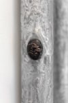 Untitled (Pipes 5), (detail), 2017 cardboard, aluminum paint, clay, metal, photo paper, inkjet dye, resin 93 x 5 x 2 in. (236.2 x 12.7 x 5.1 cm)