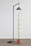 Evan Holloway Indoors, 2017 steel, cardboard, CelluClay, Cel-vinyl and acrylic lamp: 110 1/2 x 28 x 45 in. (280.7 x 71.1 x 114.3 cm) plant: 87 x 13 1/2 x 13 1/2 in. (221 x 34.3 x 34.3 cm)