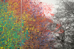 Numbers and Trees, Central Park, Series I: Tree #8, Kristen, (detail), 2015 acrylic, ink jet print, plexiglass 2 panels each: 95 x 42 x 5.75 in. (241.3 x 106.7 x 14.6 cm) center panel 95 x 42 1/2  x 5.75 in. (241.3 x 108 x 14.6 cm) overall: 95 x 126.5 x 5.75 in. (241.3 x 321.3 x 14.6 cm)