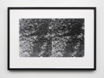 Brick Wall, (detail), 1977/2010 Sixteen digital exhibition prints each board 14.5 x 23 1/2 in. (36.8 x 59.7 cm) image: 10 5/8 x 17 11/16 in. (27 x 44.9 cm) framed each: 16 3/4 x 23 3/8 x 1 1/4 in. (42.5 x 59.4 x 3.2 cm)