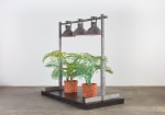 Two Ferns, (detail), 2017 steel, cardboard, CelluClay, Cel-vinyl and acrylic 89 3/4 x 96 1/4 x 64 in. (228 x 244.5 x 162.6 cm)