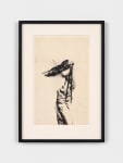 Jay DeFeo
Untitled, 1979
photocopy
14 x 8 1/2 in. (35.6 x 21.6 cm)
© 2023 The Jay DeFeo Foundation/Artists Rights Society (ARS), New York.
Photo: Steven Probert