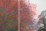 Numbers and Trees, Central Park, Series I: Tree #6, (detail), Rodney, 2015 acrylic, ink jet print, plexiglass 2 panels each: 95 x 42 x 5.75 in. (241.3 x 106.7 x 14.6 cm) center panel: 95 x 42 1/2 x 5.75 in. (241.3 x 108 x 14.6 cm) overall: 95 x 126 1/2 x 5.75 in. (241.3 x 549.9 x 14.6 cm)