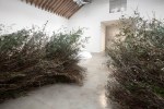 Stick Structure, (detail), 2016 various branches, twigs, and flowering plants (Bamboo, Privet, Magnolia grandiflora, Huizache, Lantana) approximately 74 x 244 inches in diameter (187.9 x 619.7 centimeters)
