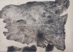 Arpita Singh
Untitled, 1976
Ink on paper
13 1/2" x 19 1/2"
TG 3841