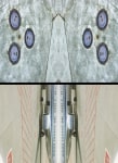 UFO3 (Detail)
