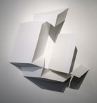 Shadow of the Shadow of the Shadow&amp;nbsp;(Detail)