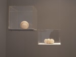 Emerging Angels, 2004