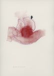 Bloom, 2016
Watercolor on paper
18.75” x 14.75”
TG 4919