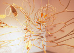 Scent of a Sound&amp;nbsp;(Detail)
