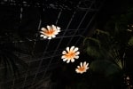 Cloud songs on the horizon | 2023 (Detail)